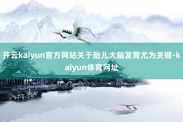 开云kaiyun官方网站关于胎儿大脑发育尤为关键-kaiyun体育网址