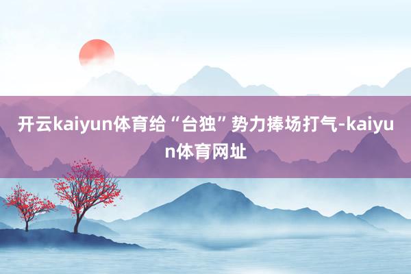 开云kaiyun体育给“台独”势力捧场打气-kaiyun体育网址