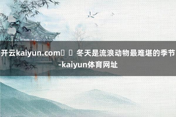 开云kaiyun.com❄️冬天是流浪动物最难堪的季节-kaiyun体育网址