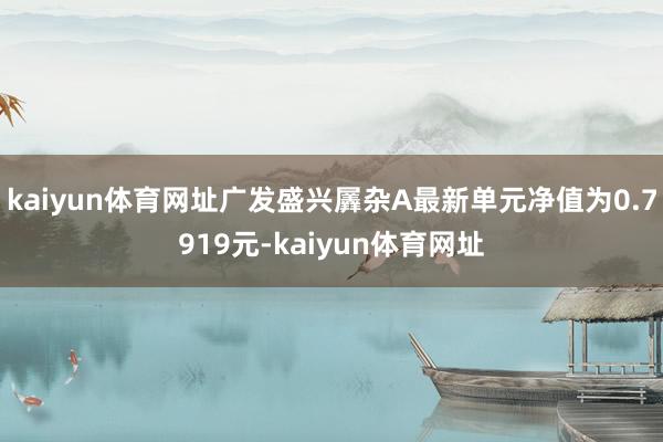 kaiyun体育网址广发盛兴羼杂A最新单元净值为0.7919元-kaiyun体育网址