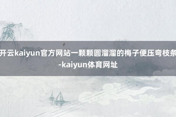 开云kaiyun官方网站一颗颗圆溜溜的梅子便压弯枝条-kaiyun体育网址