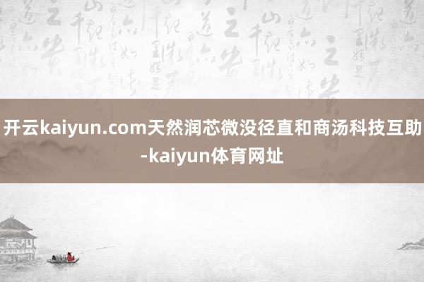 开云kaiyun.com天然润芯微没径直和商汤科技互助-kaiyun体育网址